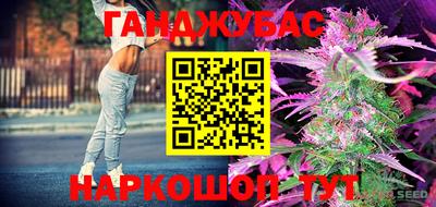 гидра Тверь